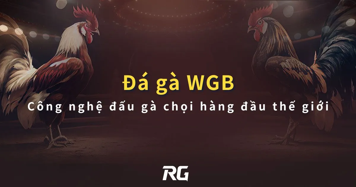 Đá gà WGB : Công nghệ đấu gà chọi hàng đầu thế giới